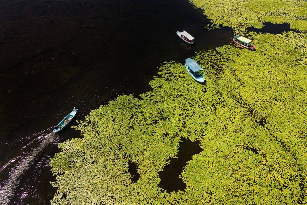 Konya’da beklenen an! Doğanın sessiz mucizesi göz kamaştırmaya başladı 13